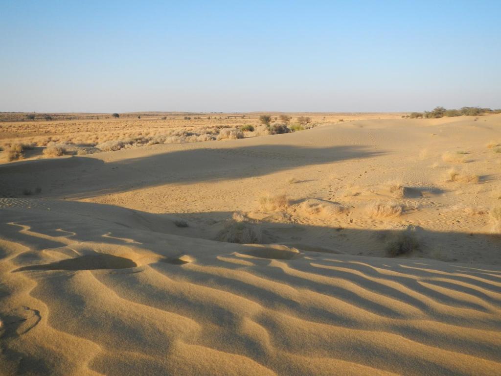Hotel Renuka Jaisalmer Ngoại thất bức ảnh